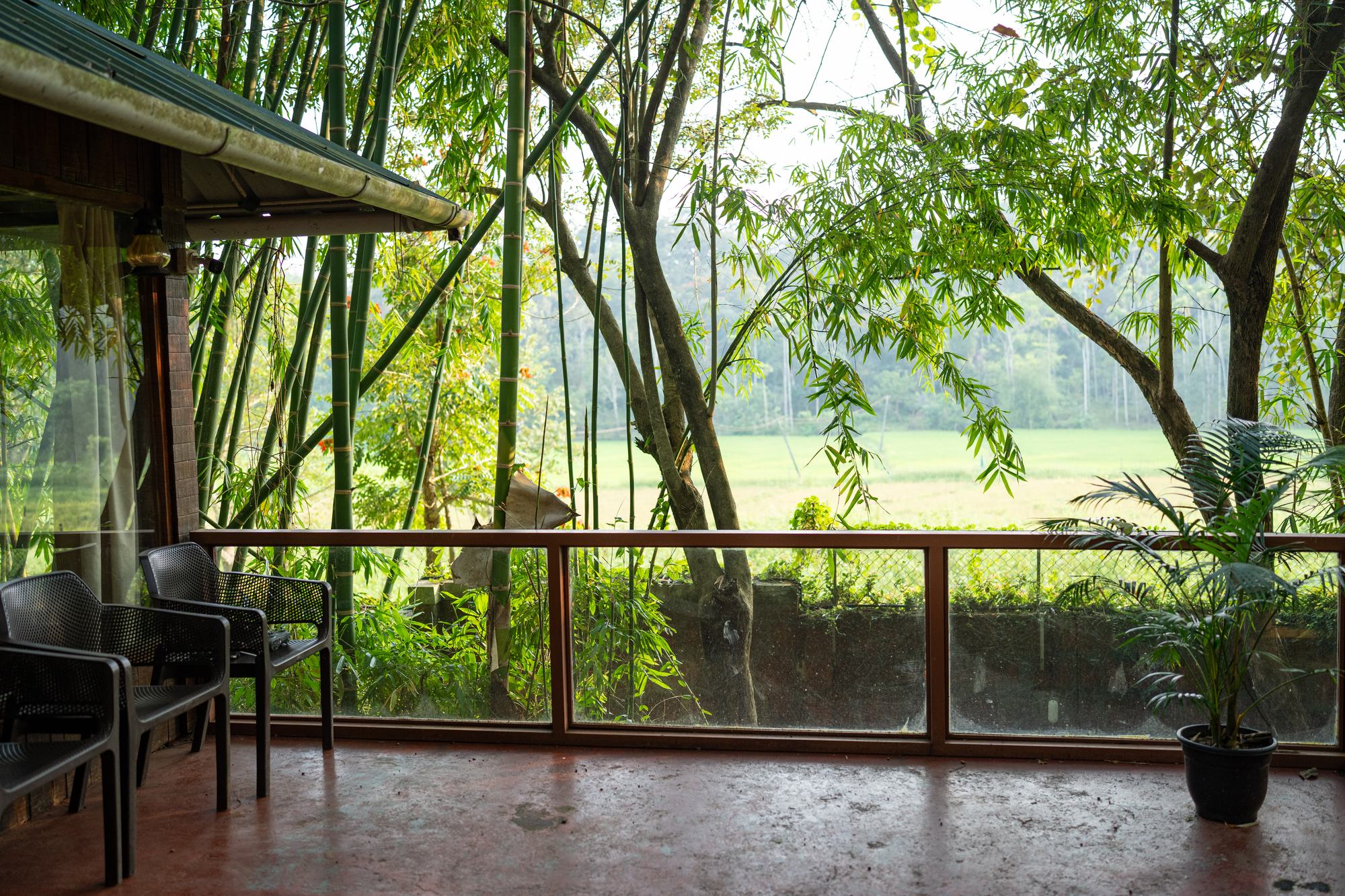 Open dining deck looking out over the paddy fields