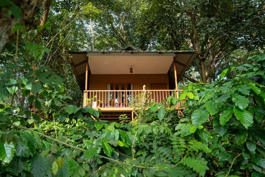Canopy hut in the forest at Thennal