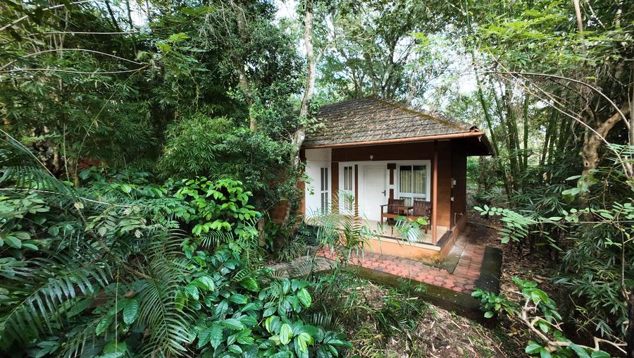Cottage surrounded by forest