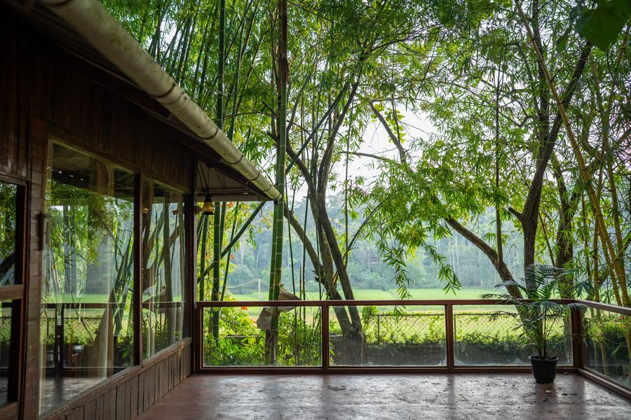 Dining deck with a view through the trees