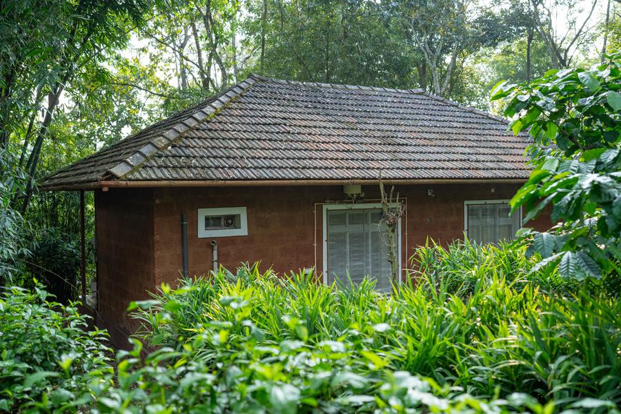 Traditional cottage with laterite walls and a clay-tiled roof in a forest garden